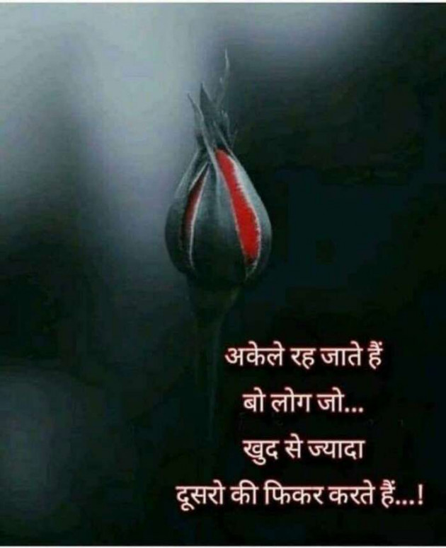 Gujarati Thought by Shailesh : 111199572