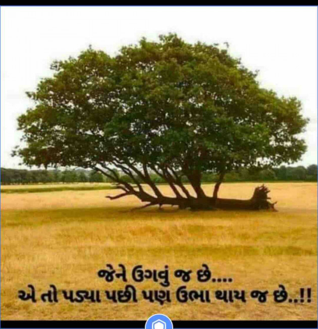 English Thought by Kunjdas : 111199730
