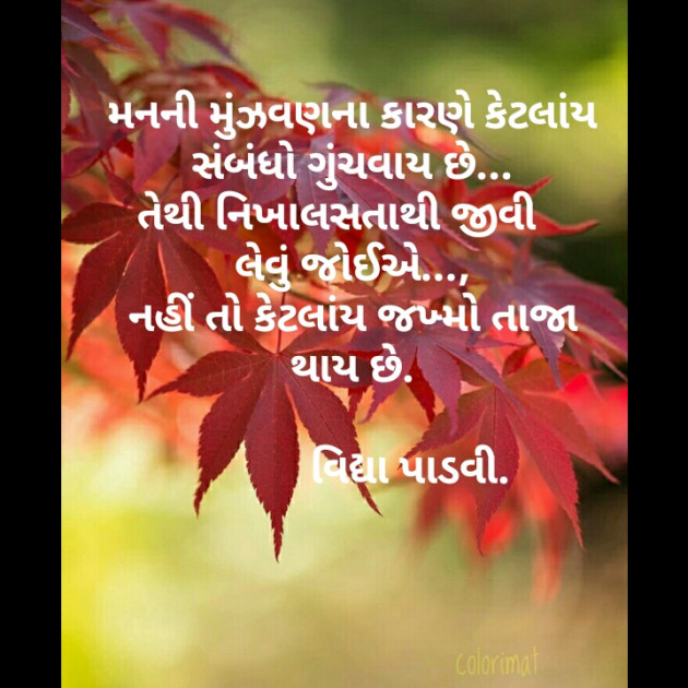 Gujarati Thought by Vidya : 111199997