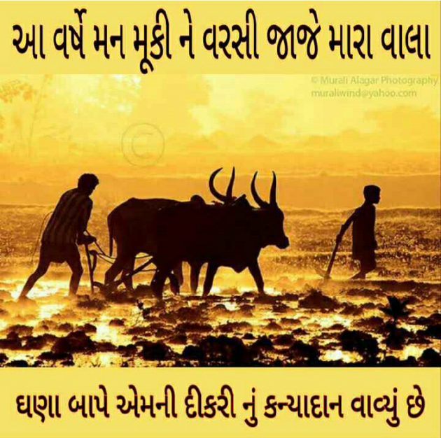 Gujarati Good Night by Gadhadara Jayou : 111200100