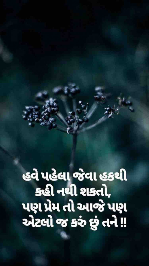 Gujarati Blog by Taran_Goswami : 111200133