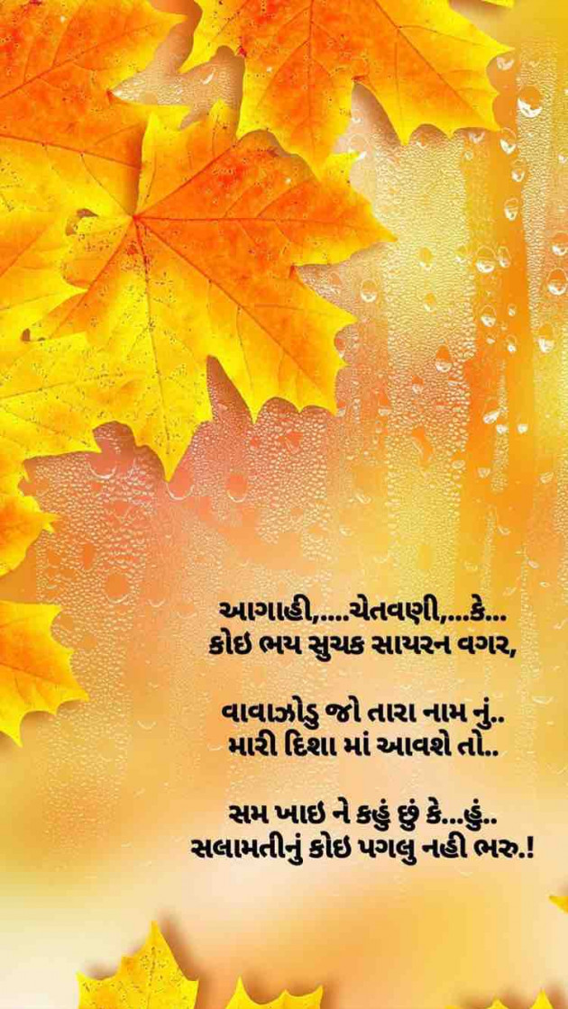 Gujarati Romance by Taran_Goswami : 111200146