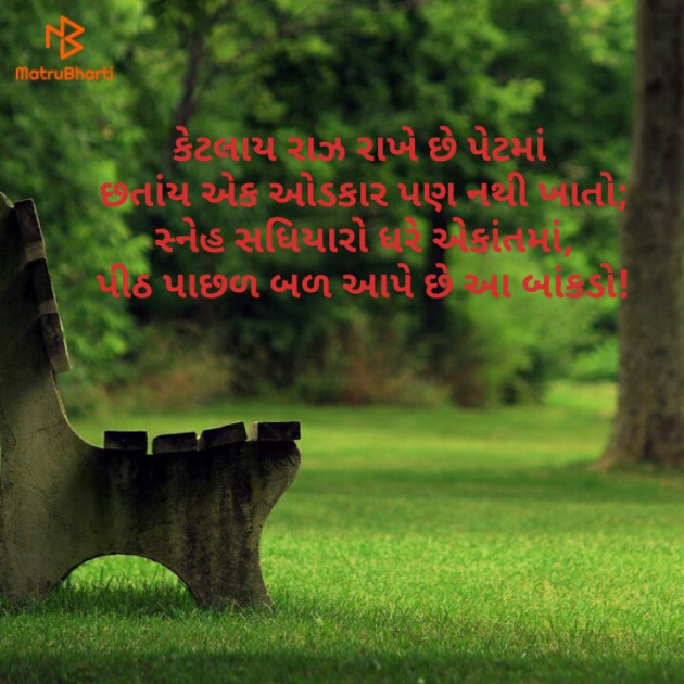 Gujarati Thought by Kinar Rana : 111200249