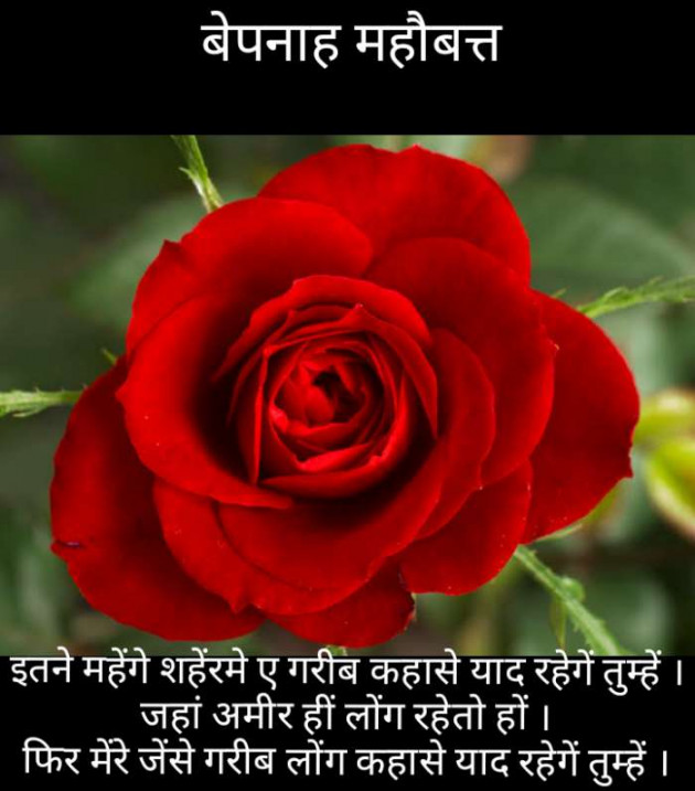 Gujarati Blog by Narendra Parmar : 111200262