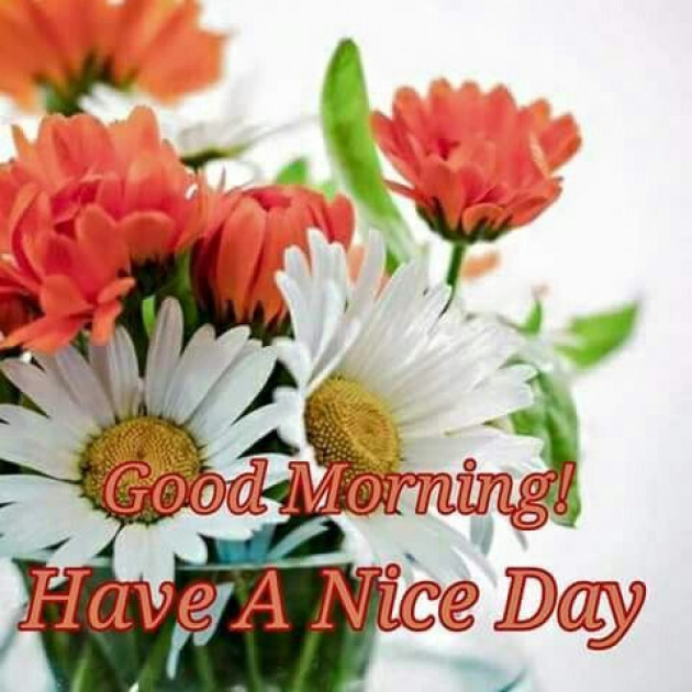 Hindi Good Morning by Vaghela Niya : 111200272