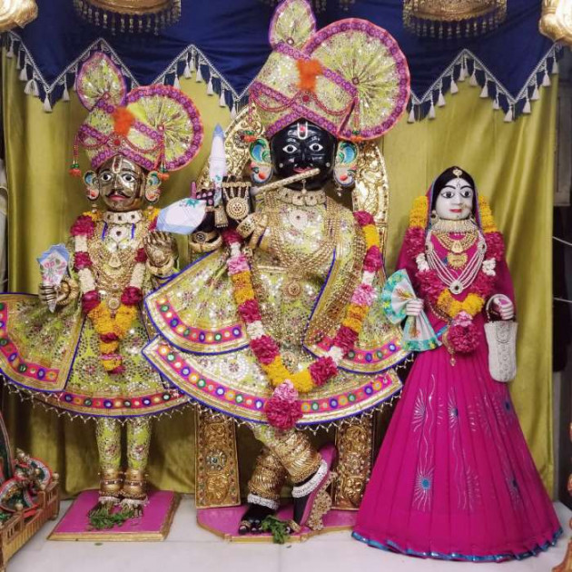 Gujarati Whatsapp-Status by Parmar Narvirsinh : 111200278