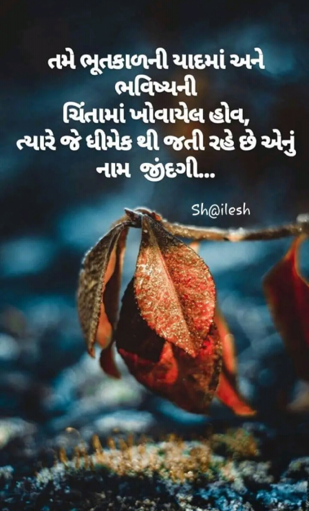 Gujarati Microfiction by Dimple Sanghadia : 111200396