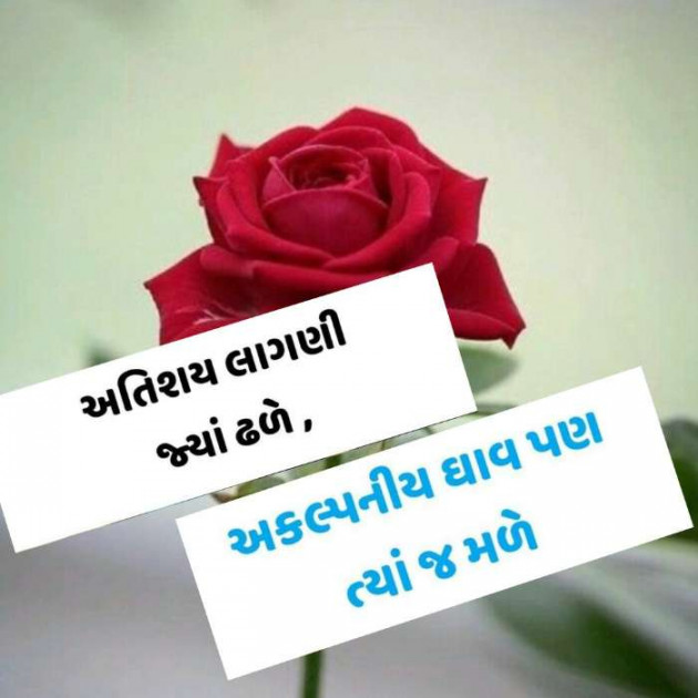 Gujarati Quotes by Manoj Patel : 111200453