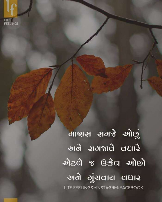 Gujarati Blog by Ritu Thakar : 111200560
