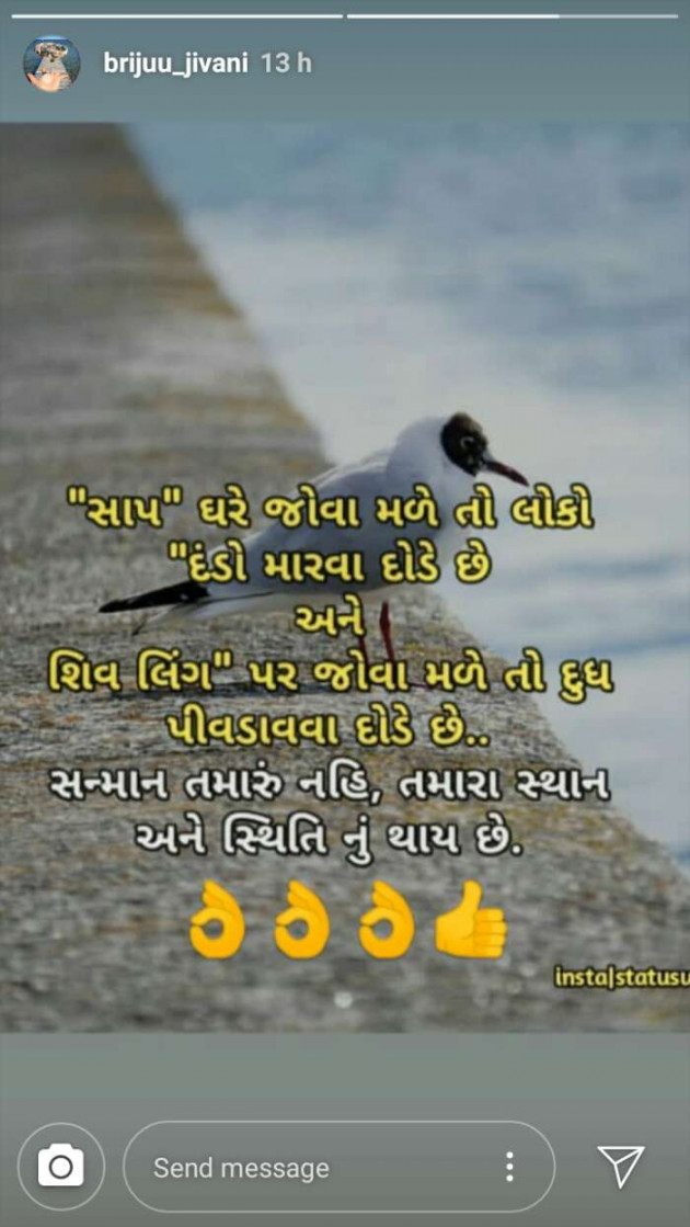 Gujarati Thought by Shailesh : 111200838