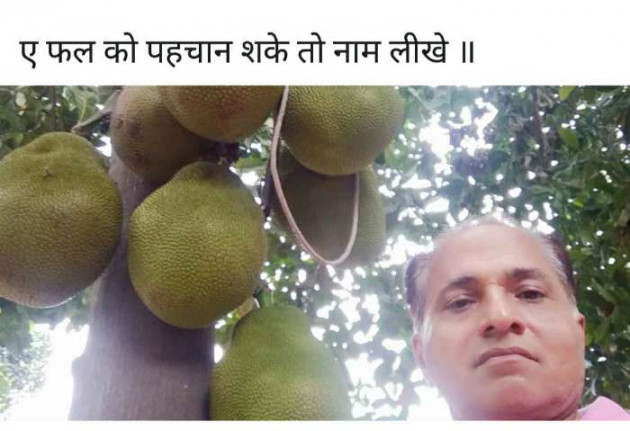 Gujarati Blog by K V Zankat : 111201307