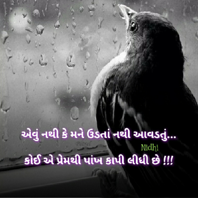 Gujarati Blog by Nidhi_Nanhi_Kalam_ : 111201535