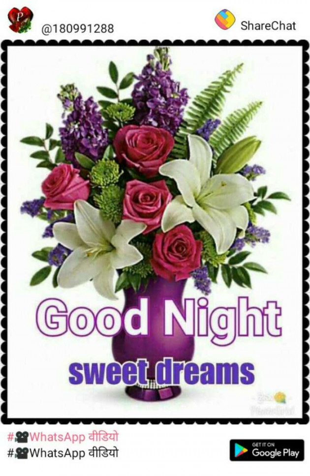 Hindi Good Night by Jassi Albert : 111201752