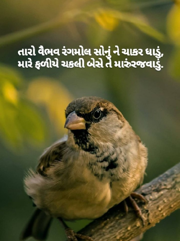 Gujarati Microfiction by sureel panchal : 111201947