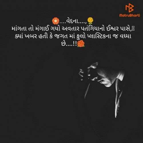 Post by Mehul Dhandhala on 22-Jun-2019 10:11pm