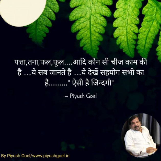 Hindi Thought by Piyush Goel : 111202367