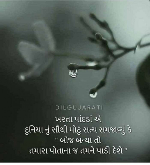 Gujarati Quotes by Ahir Somat : 111202591