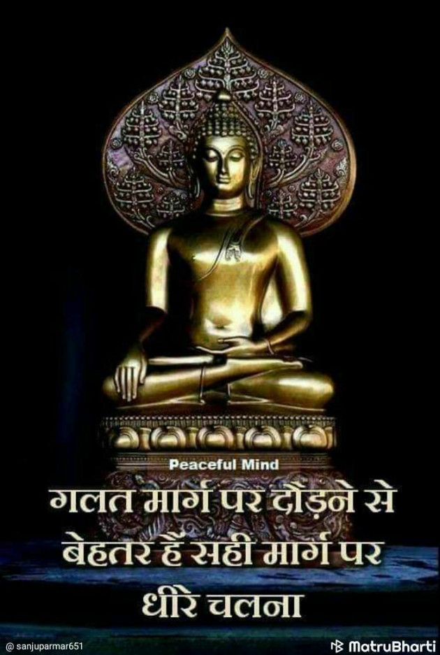 Gujarati Thought by Shailesh : 111202743