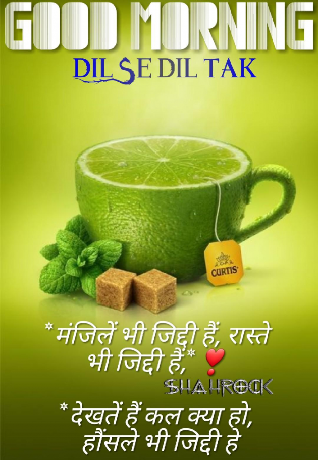 English Quotes by T.D.Singh : 111203111