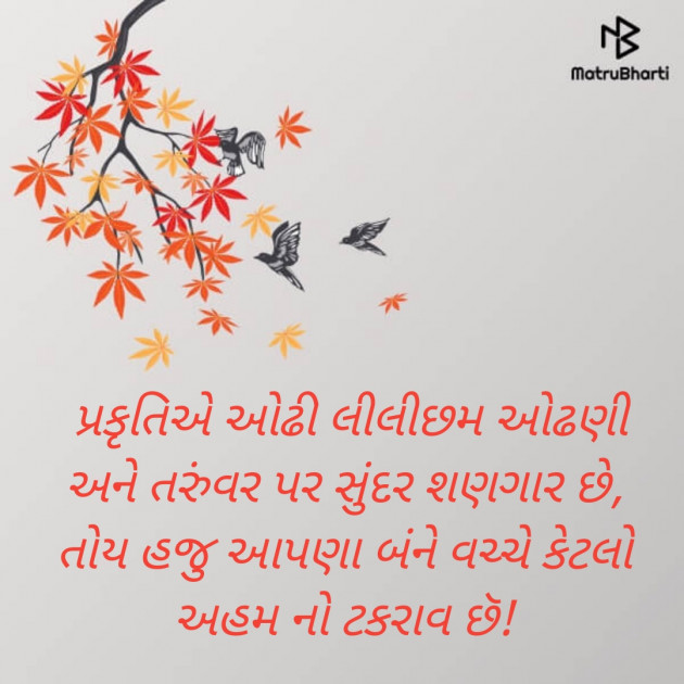 Gujarati Shayri by Riddhesh Joshi : 111203296