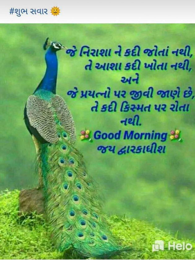 Gujarati Good Morning by Mehul Bharvad : 111203974