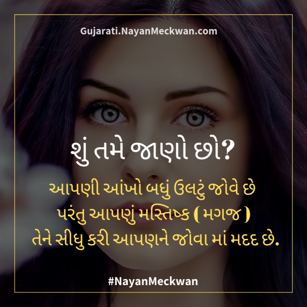 Gujarati Motivational by Nayan Meckwan : 111204129