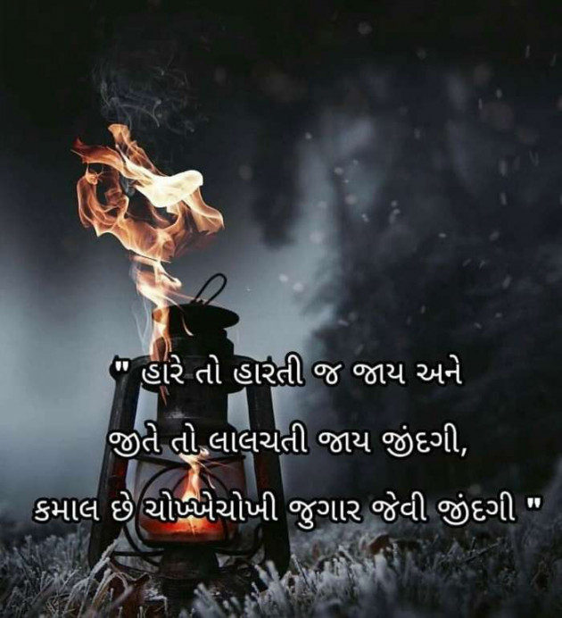Gujarati Thought by Vira : 111204196