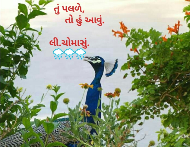 Gujarati Thought by Kinar Rana : 111204690
