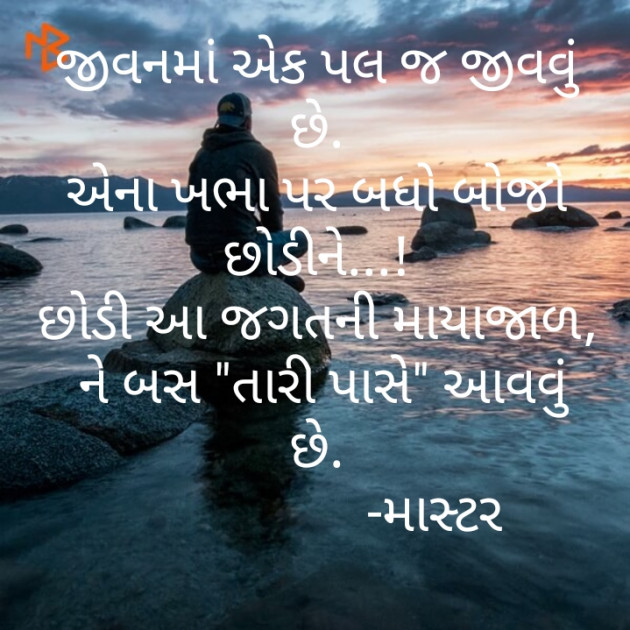Gujarati Shayri by Savan M Dankhara : 111204823