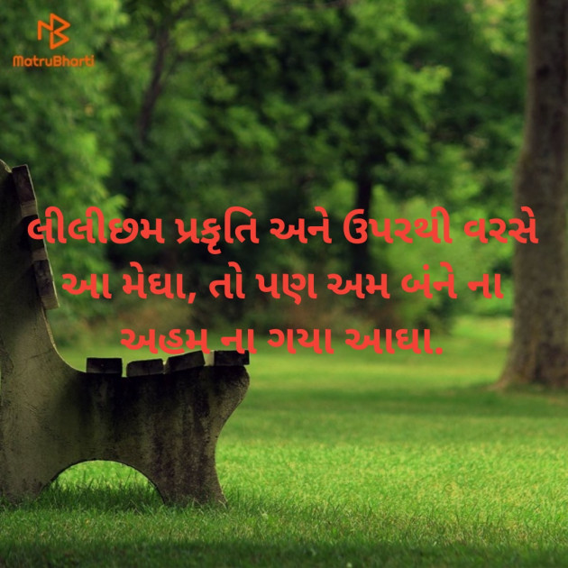 Gujarati Shayri by Riddhesh Joshi : 111205000