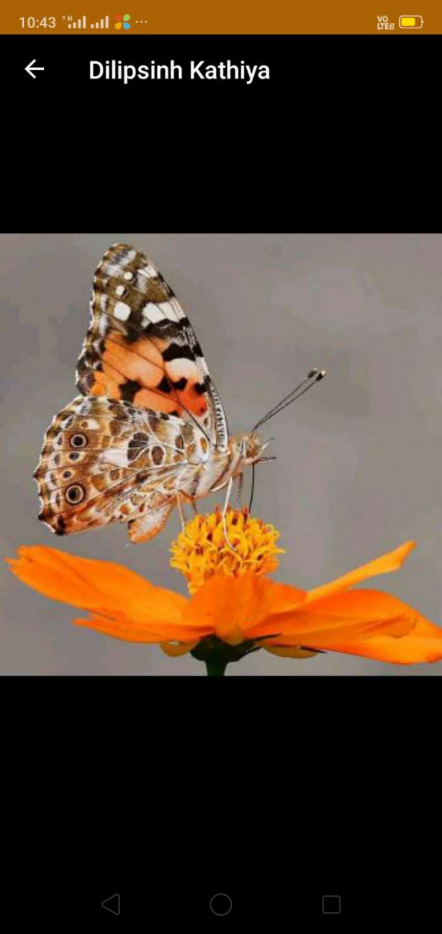 English Quotes by DILIPSINH KATHIYA : 111205310