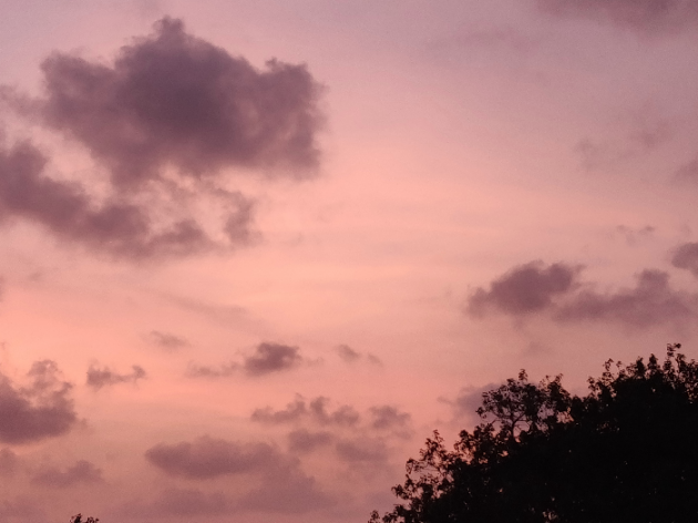 Gujarati Good Evening by Pooja : 111205984