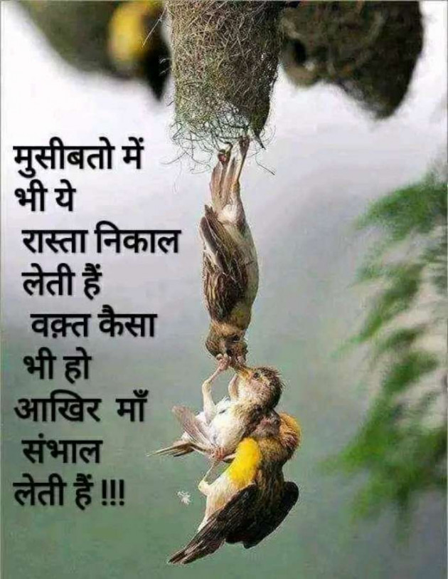 Gujarati Thought by Anil Kumar : 111206036