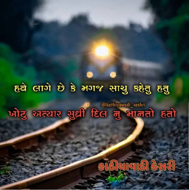 Gujarati Whatsapp-Status by Naksh Parmar : 111206448