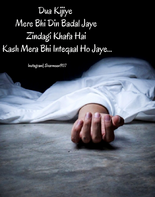 Post by Sharmeen on 28-Jun-2019 02:36pm