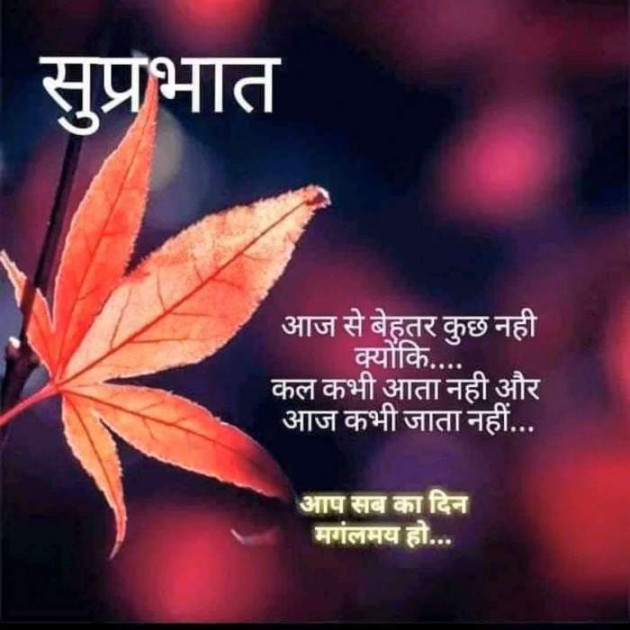 Hindi Quotes by Sawar Mal Patwari : 111206992
