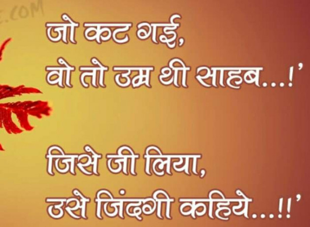 Gujarati Quotes by Rakesh Thakkar : 111207150