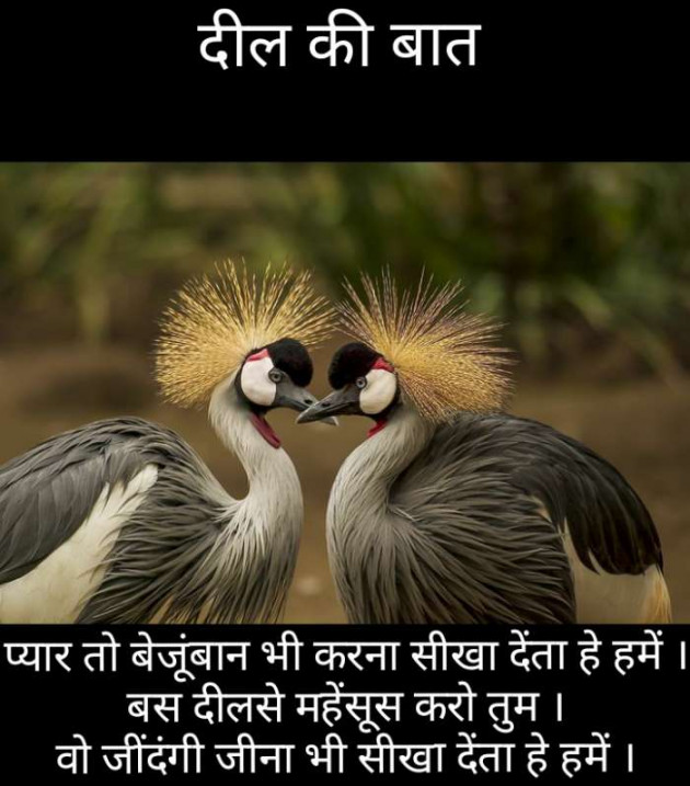 Gujarati Thought by Narendra Parmar : 111207605