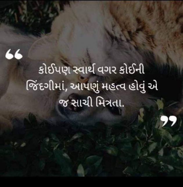 Gujarati Whatsapp-Status by Naksh Parmar : 111207665