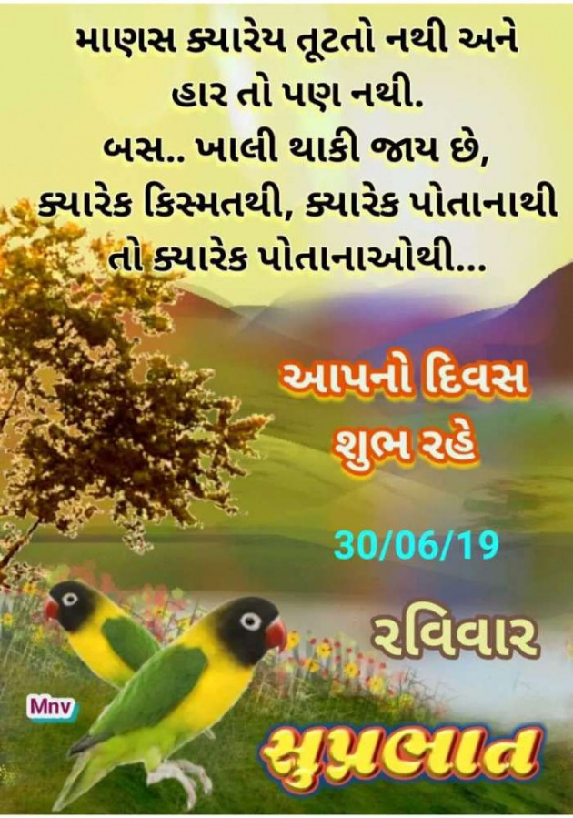 Gujarati Quotes by Ahir Somat : 111207732