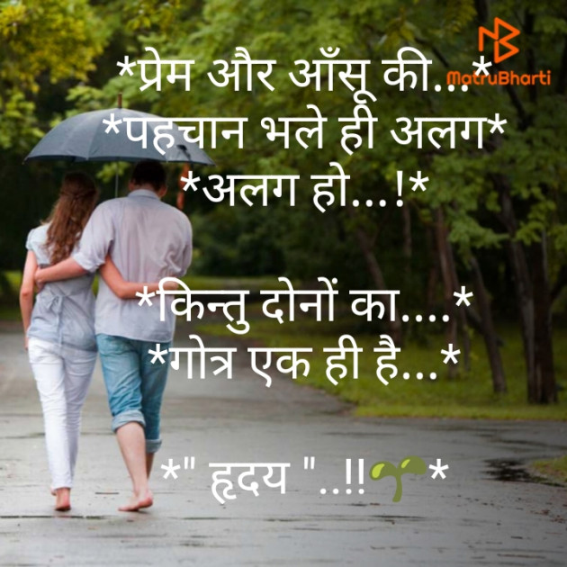 English Quotes by Bhanderi Paresh : 111207759
