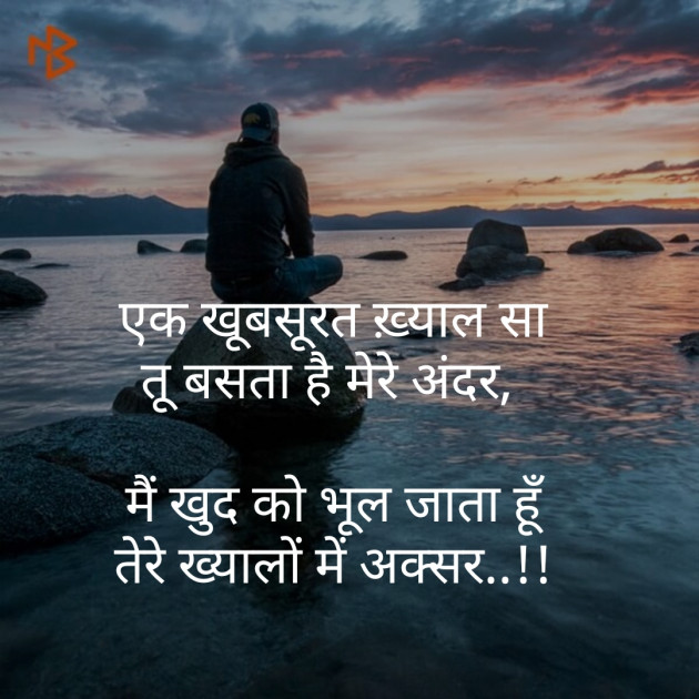 Hindi Blog by Nirav Shah : 111208257