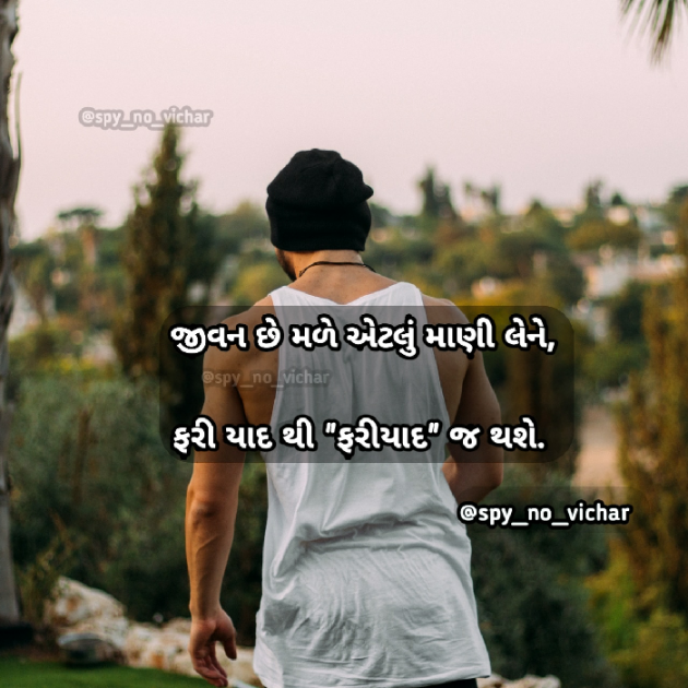 Gujarati Whatsapp-Status by Gadhadara Jayou : 111208494