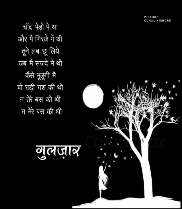 English Shayri by Sarah : 111208638