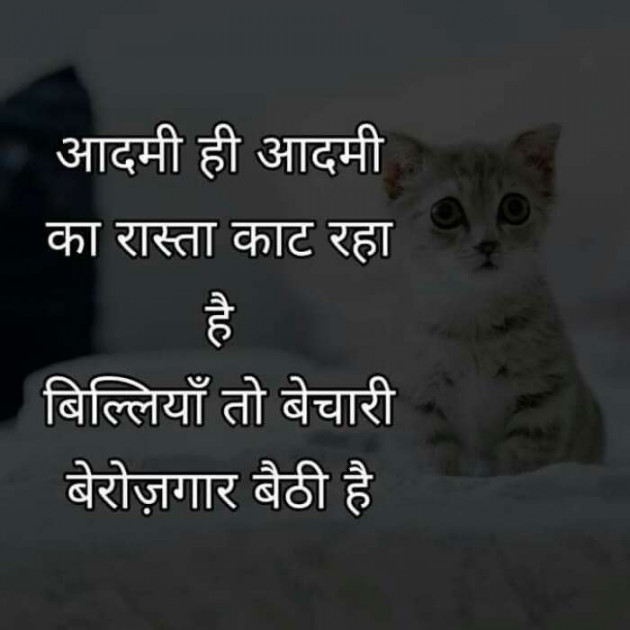 Hindi Motivational by Devesh Mishra : 111208874