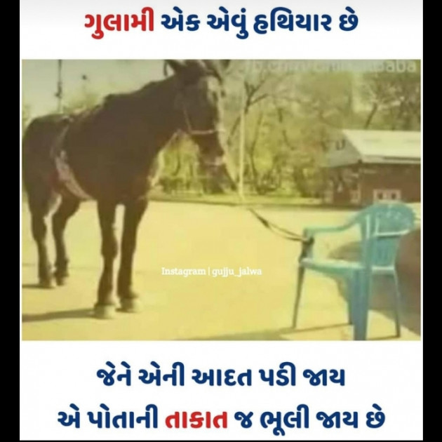 Gujarati Whatsapp-Status by vani : 111208917