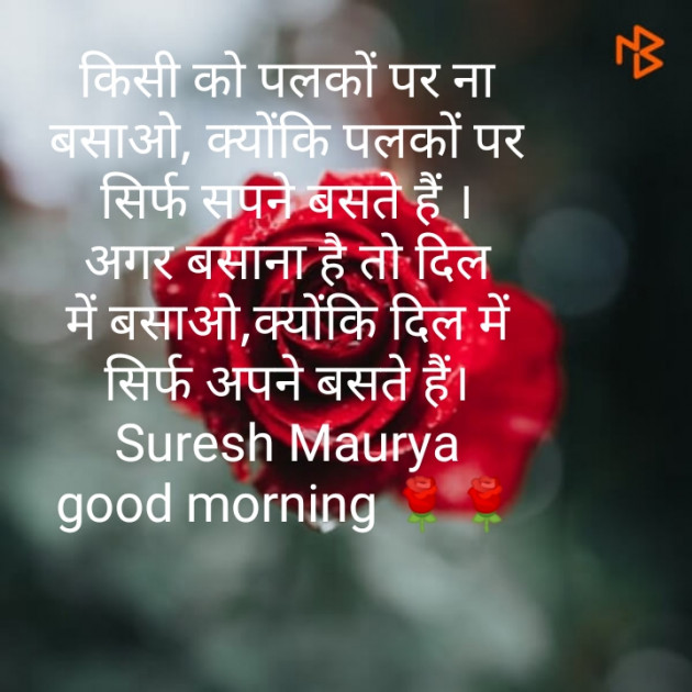 Hindi Good Morning by Suresh Maurya : 111209196