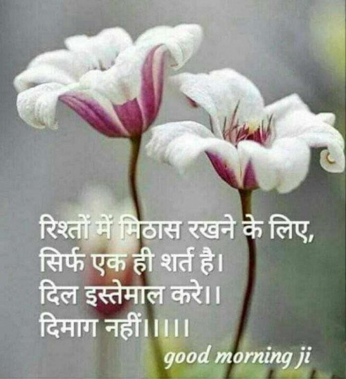 Post by Mayank Dharsandia on 02-Jul-2019 08:20am
