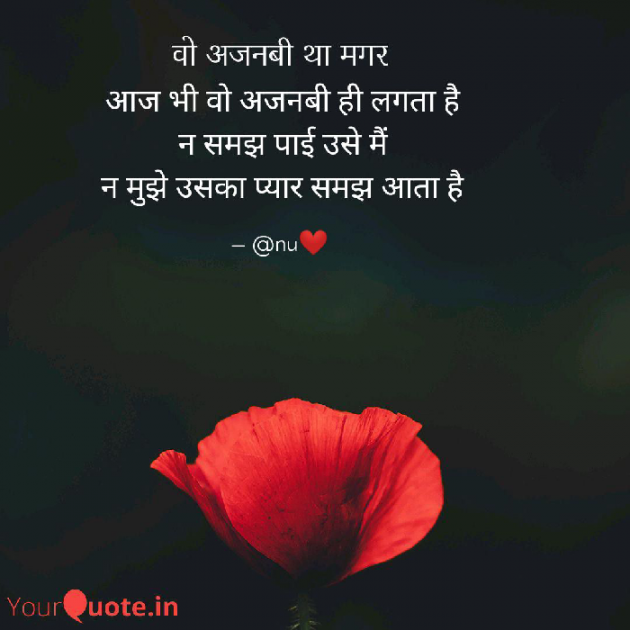 English Shayri by अnu : 111209525