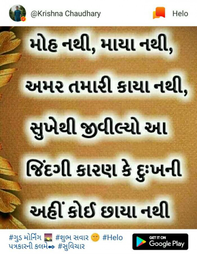 Gujarati Thought by Shailesh : 111210032